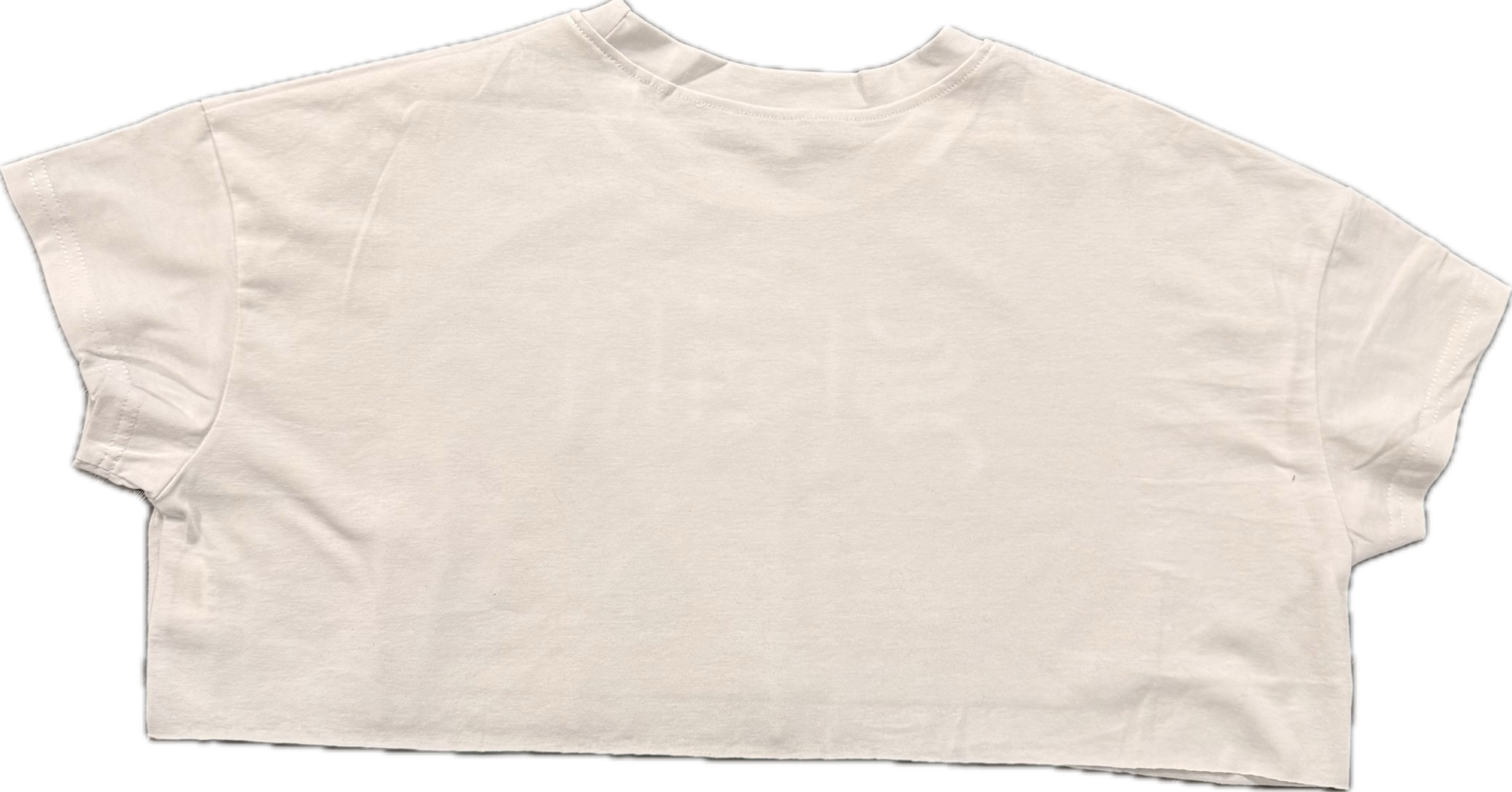 Sheiki white crop top tee